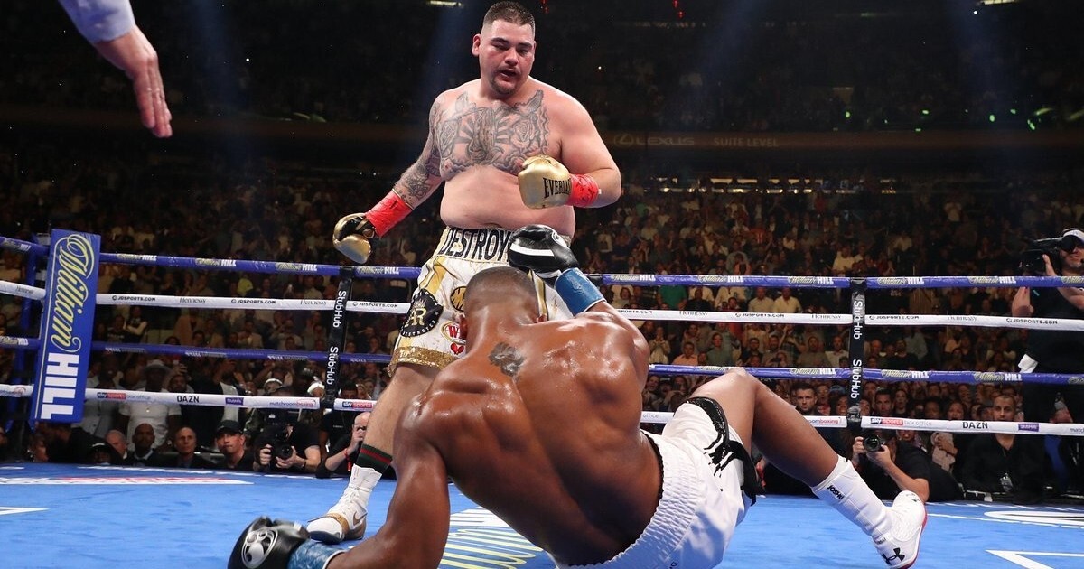 Andres Ponce Ruiz Jr.