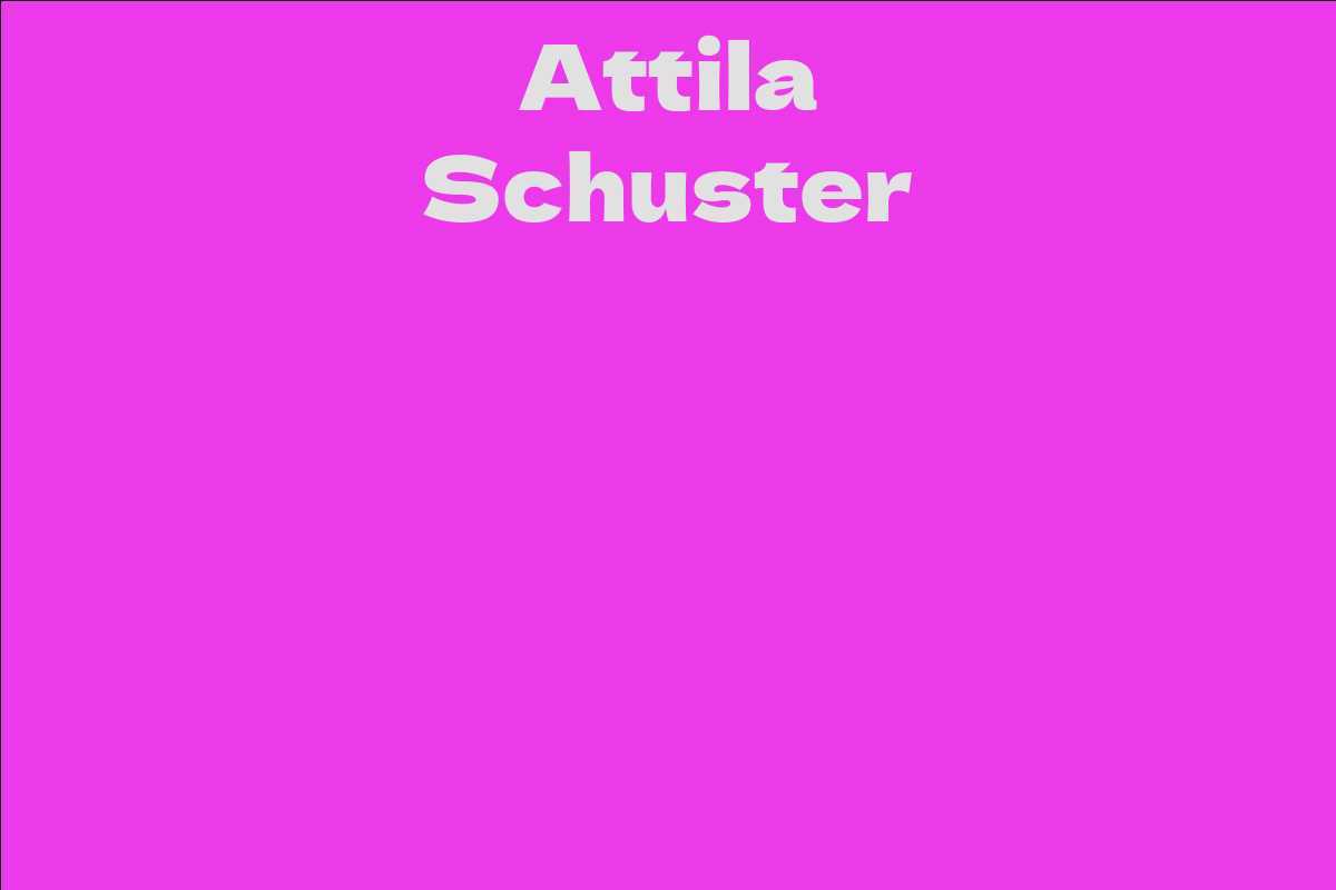 Attila Schuster