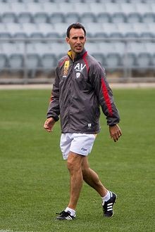 Aurelio Vidmar-forest_fury