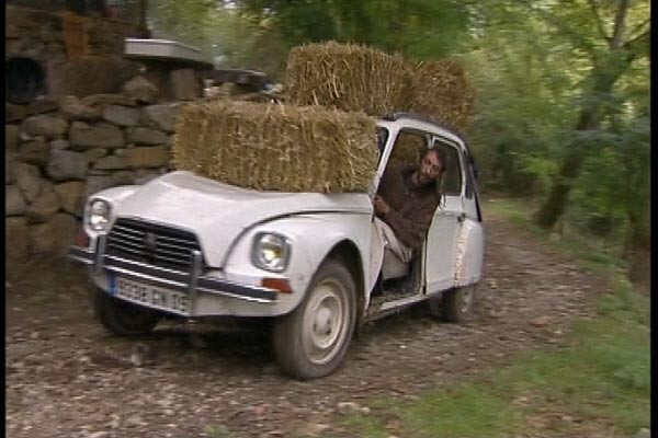 Christophe Coello-runner124