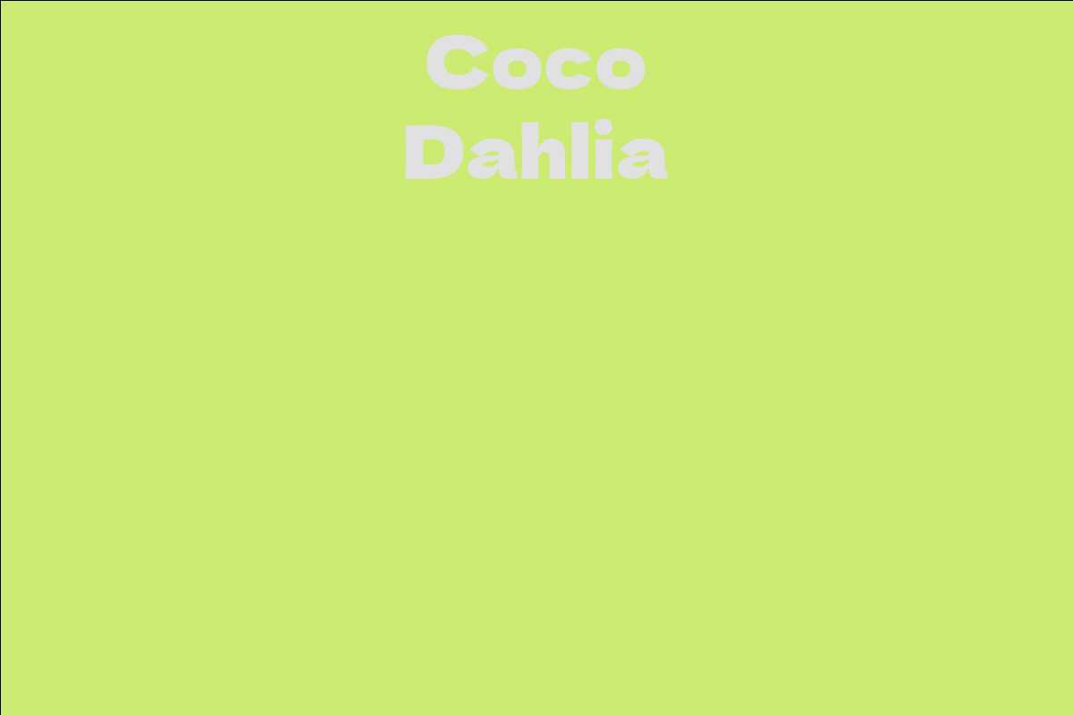 Coco Dahlia