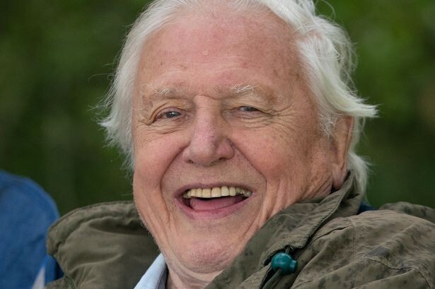 David Attenborough