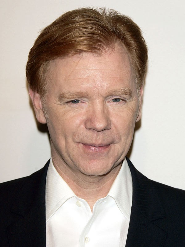 David Caruso - Facts, Bio, Career, Net Worth | AidWiki