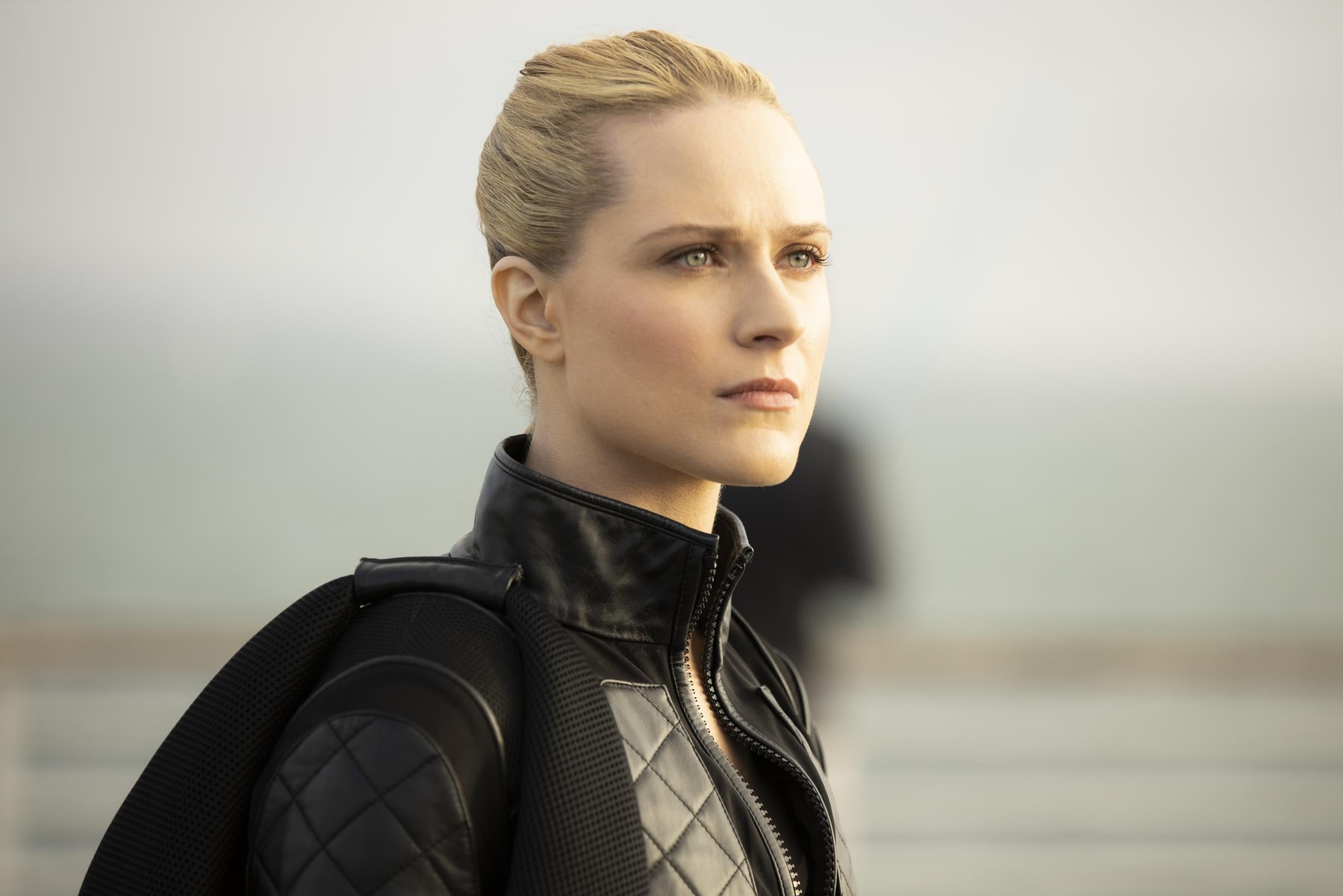 Evan Rachel Wood - Facts, Bio, Career, Net Worth | AidWiki