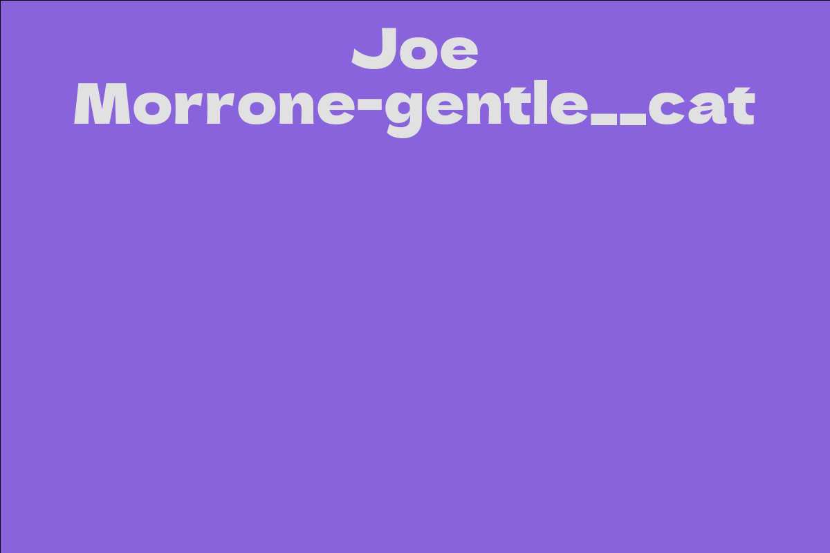 Joe Morrone-gentle__cat