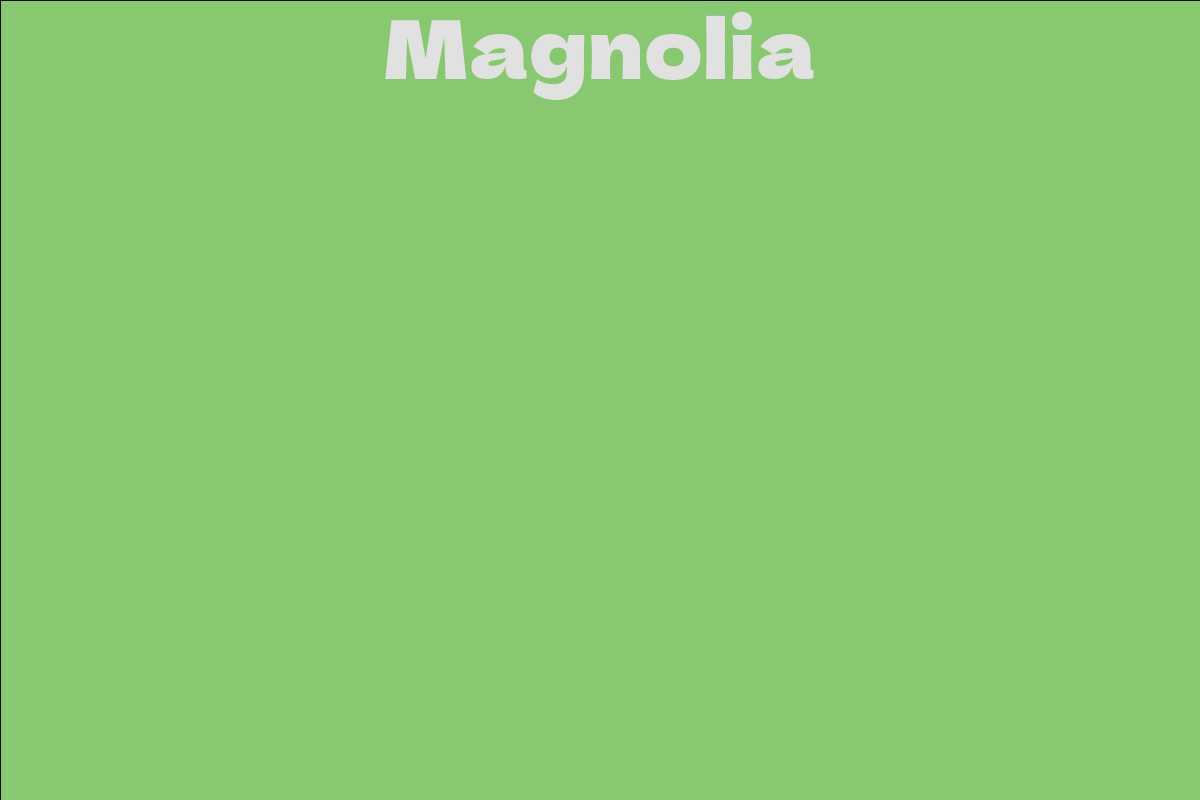 Magnolia