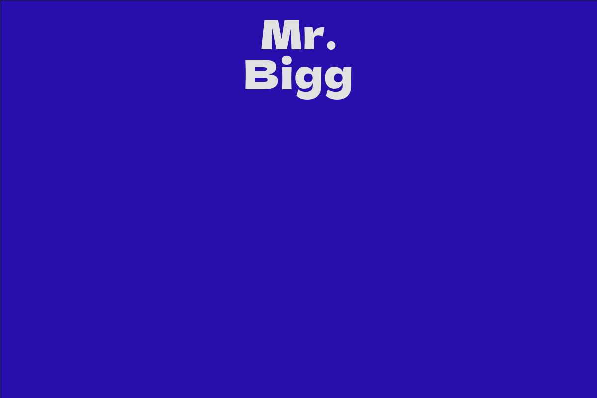 Mr. Bigg Facts, Bio, Career, Net Worth AidWiki