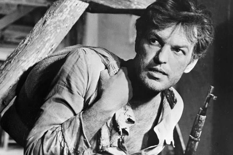 Regimantas Adomaitis - Facts, Bio, Career, Net Worth | AidWiki