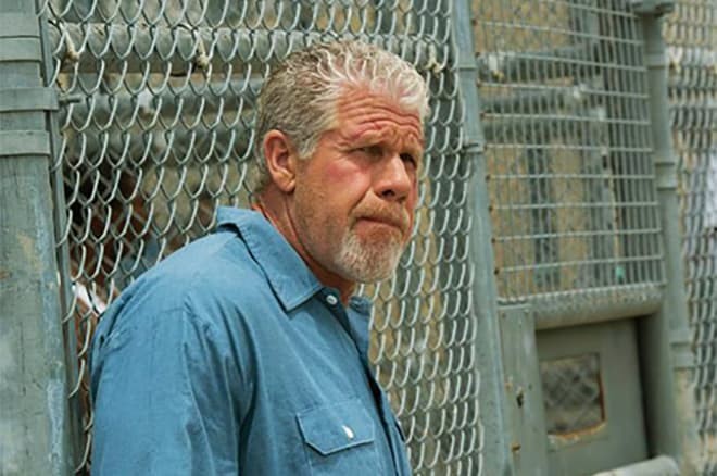Ron Perlman - Facts, Bio, Career, Net Worth | AidWiki