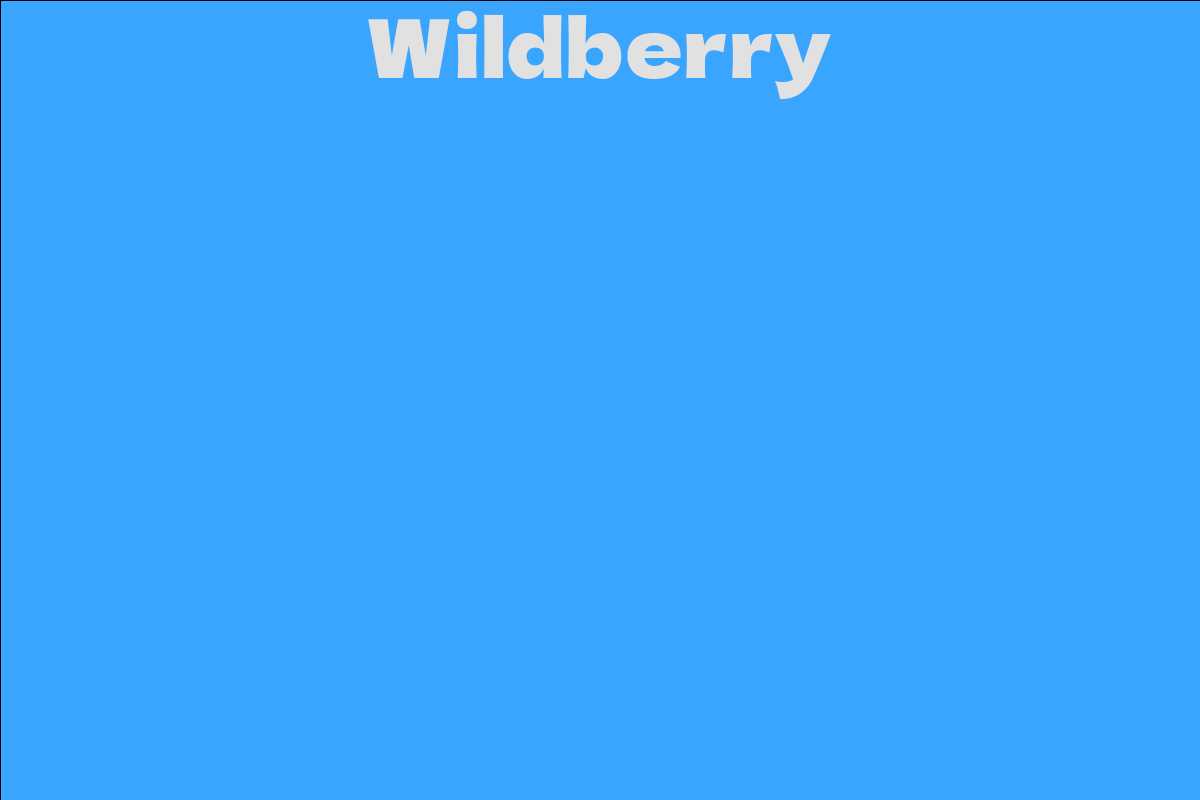 Wildberry - Facts, Bio, Career, Net Worth | AidWiki