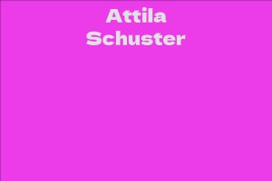 Attila Schuster - Facts, Bio, Career, Net Worth | AidWiki