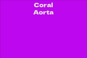 Coral Aorta