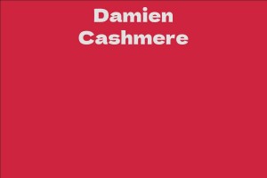 Damien Cashmere