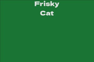 Frisky Cat