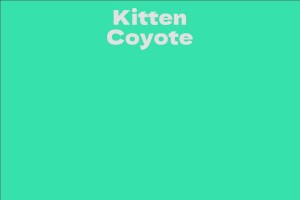 Kitten Coyote