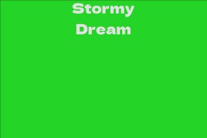 Stormy Dream