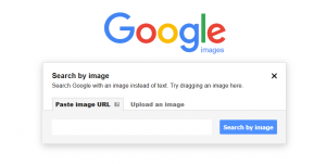 Search Photos by URL or by uploading an image